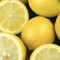 Lemon (Steam Distilled) Pure Essential Oil 15mL